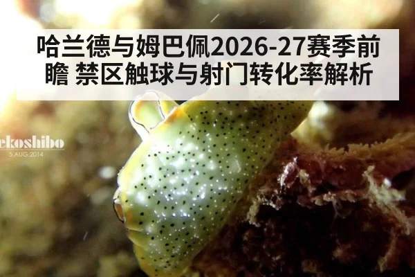哈兰德与姆巴佩2026-27赛季前瞻 禁区触球与射门转化率解析